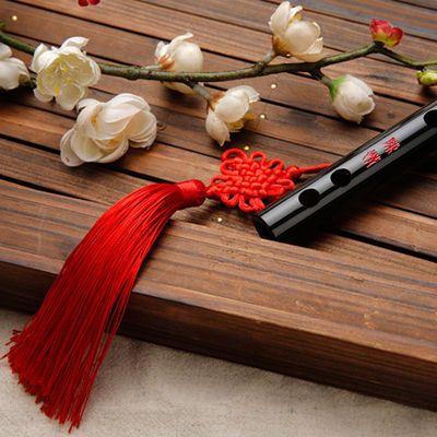 魔道祖师笛子陈情