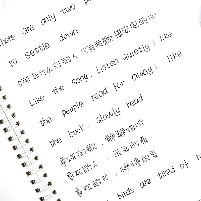 蘇逸雲安安英語手寫字帖女生小清新練字帖練字貼楷書成人行楷正楷