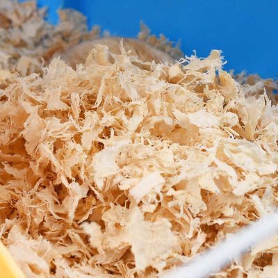 拼多多仓鼠木屑几天换一次