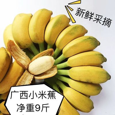 皇帝蕉