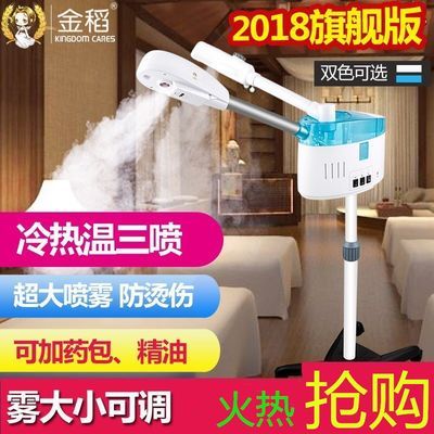 金稻冷熱噴蒸臉器