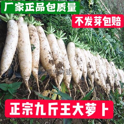 93aef4af-2d9e-46c9-b0cb-bb0e177be980.jpeg