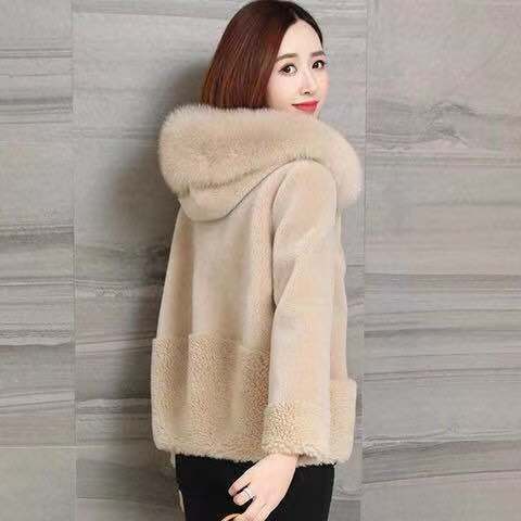 Haining fur imitation coat women's short style fall / winter 2020 new Korean version of fox like wool collar sheep shear granular fleece coat
