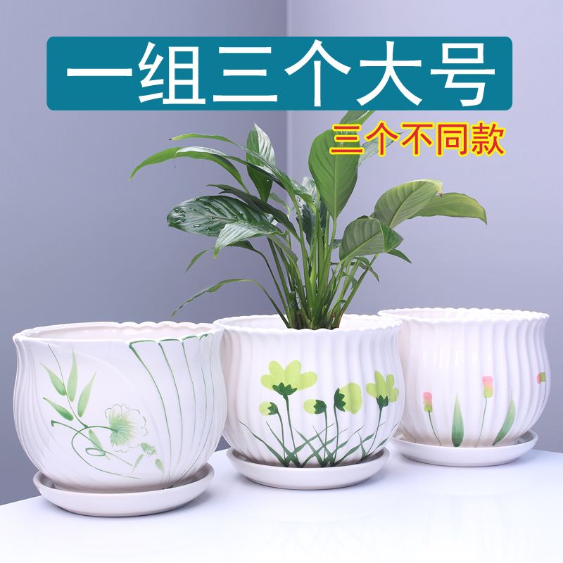 b151e89f-e2a5-4364-bc92-572cafc97092.jpg