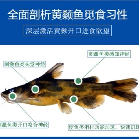 a35e52b9-ff9f-4edc-b88e-c20a644717e3.jpg