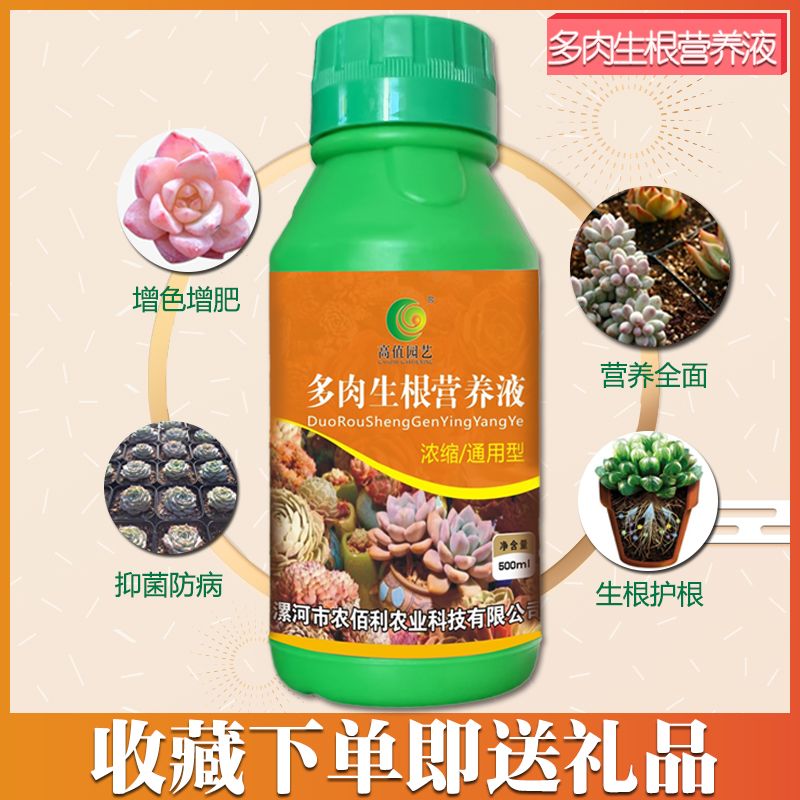 d20bdc45-2940-4b80-a1be-d0bd5d129f4d.jpg