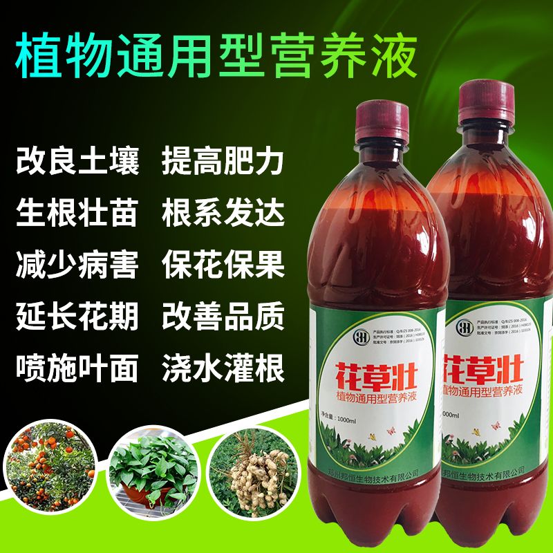什么叫植物em菌 df3780ba-3806-445c-9eec-da67872604b5.jpg
