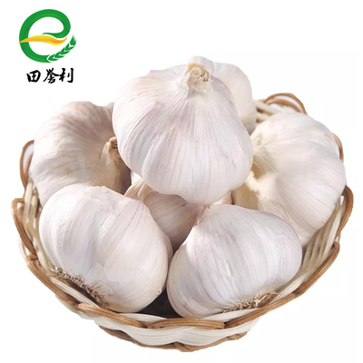 如何快速去掉大蒜皮 0d78c3e1baafced476f5af8b73af2072.jpeg