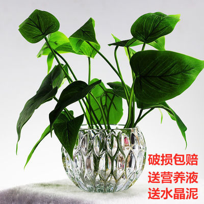 水晶球多少錢一個