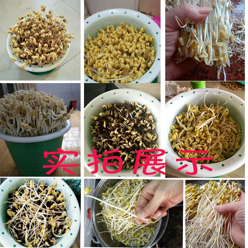 c8434fb4-dde1-404f-bf8d-313b28a8e99c.jpg