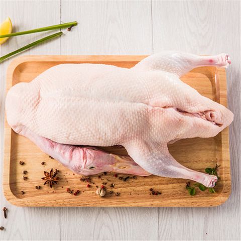 鸭子单只两斤以上生鲜鸭肉包邮整只鸭肉新鲜鸭子老鸭麻鸭批发零售