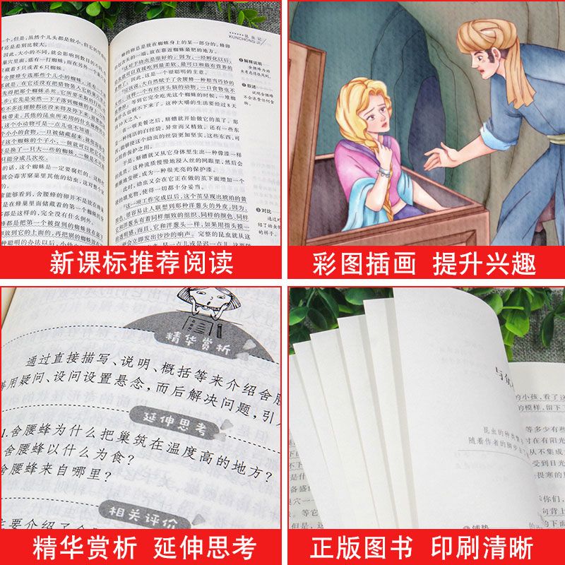 b8976daa-a27c-45a6-808c-9a99f374ef73.jpg