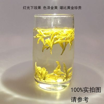黄金芽