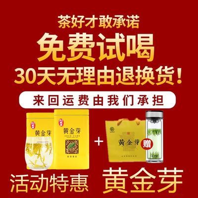 黄金芽