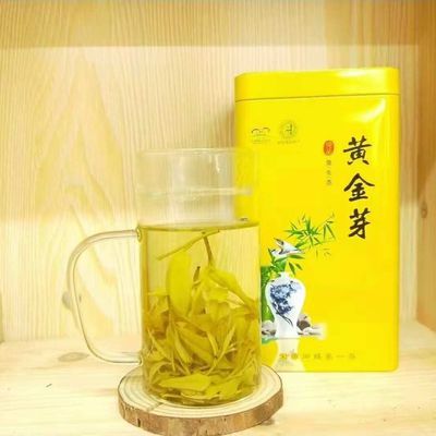 黄金芽