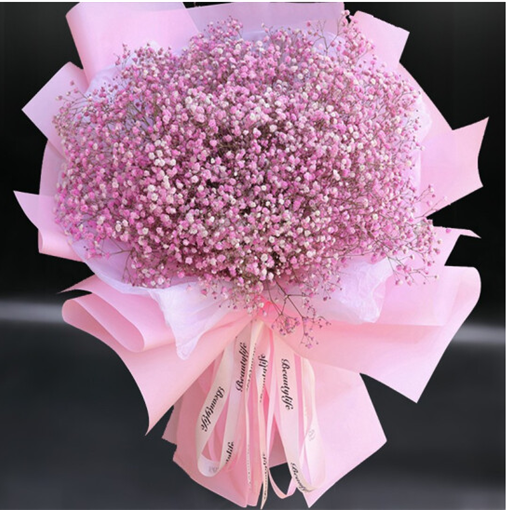 高档干花满天星 687276bc-d9de-4fff-adfe-da71c1955b58.png