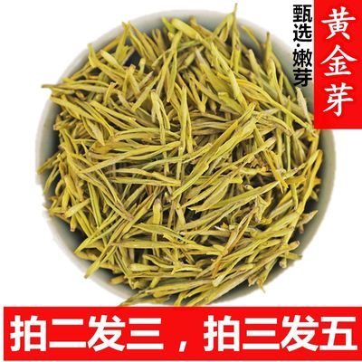 黄金芽