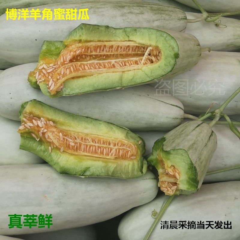 现摘博洋6羊角蜜甜瓜新鲜应季孕妇水果羊角脆香酥瓜小香瓜3斤5斤