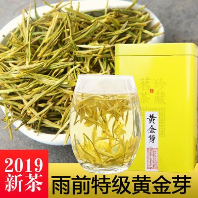 黄金芽