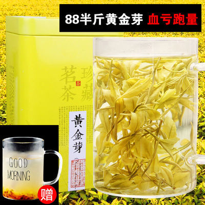 黄金芽