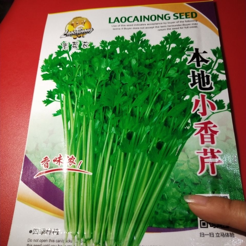 啥时候种芹菜籽 6c780925-cb51-4a43-a243-7f1ca035ef68.jpg