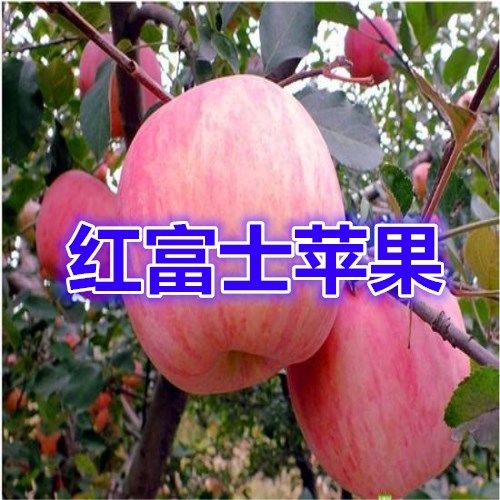 9ad2dcd7-3366-48c5-bd4a-c62a5cac23cb.jpg
