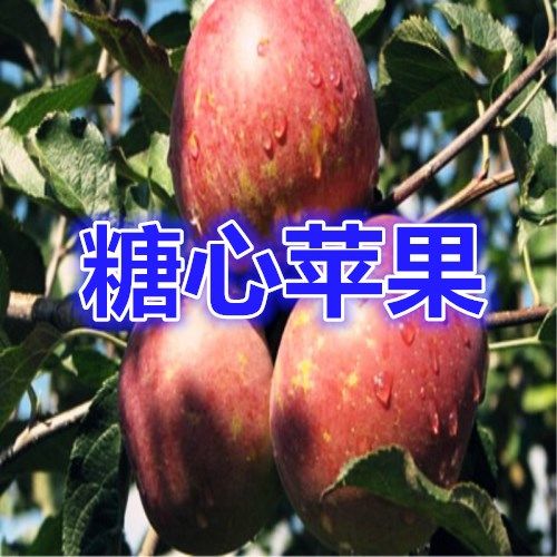 e8360694-8b29-471f-a072-27dde861a409.jpg