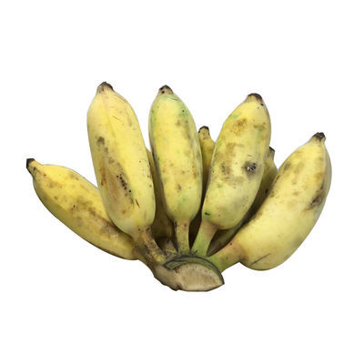 皇帝蕉