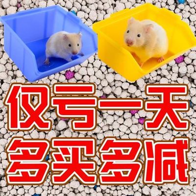 拼多多仓鼠木屑几天换一次