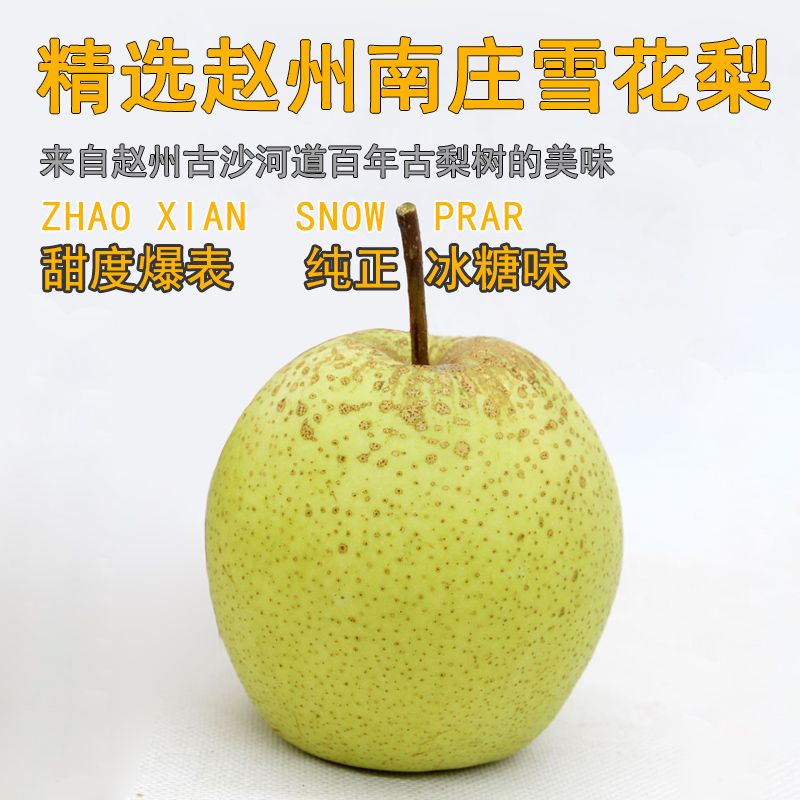 8dea47f9-972a-4664-ab0f-57a0bc103ece.jpg