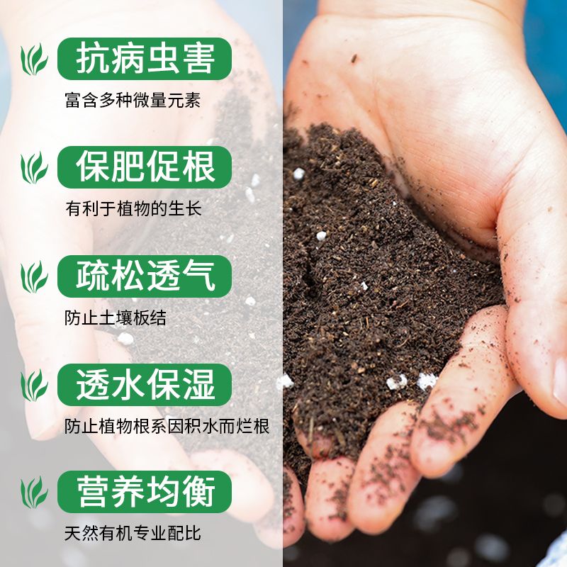322ea1e8-a403-4b63-8049-36c1d3985374.jpg