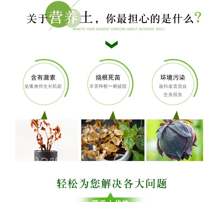 d1bf6eea-435d-44bd-9ef8-84d7a173e961.jpg