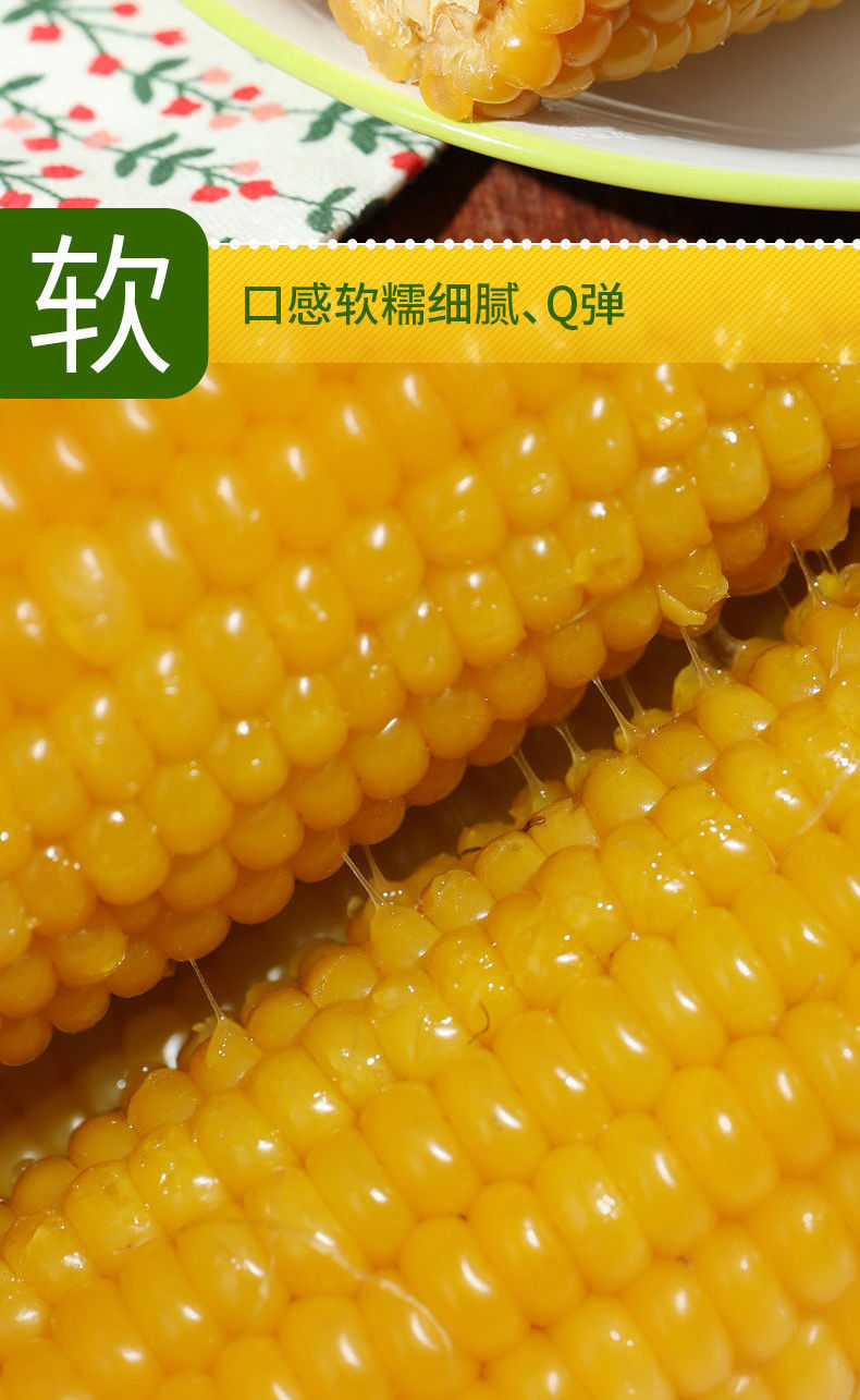 【6根仅26.8】东北糯玉米真空包装新鲜甜糯玉米即食黄白粘糯玉米