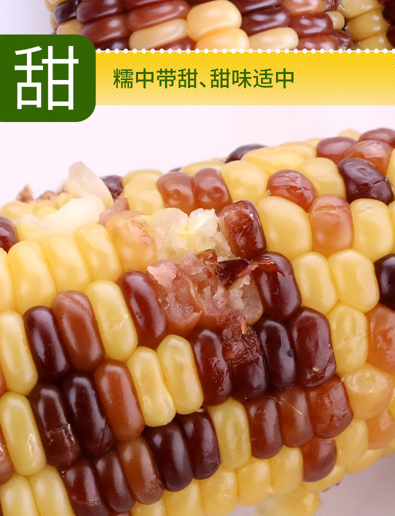 【邮乐特惠装】东北糯玉米真空包装新鲜甜糯玉米即食黄白粘糯玉米