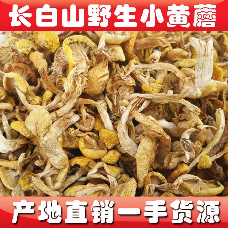 长白山野生菌东北特产干货 野生小黄蘑黄油蘑干货 野生蘑菇200g