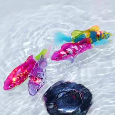 PL可愛小丑魚