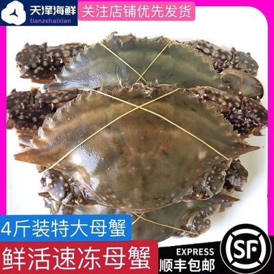 教你如何挑选最新鲜的各种鱼虾蟹海鲜秘籍插图5 教你如何挑选最新鲜的各种鱼虾蟹海鲜秘籍