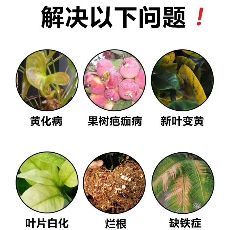 自己怎样做硫酸亚铁花肥 6c66f82b-3060-4b85-a8a4-1a6f1097acaa.jpg