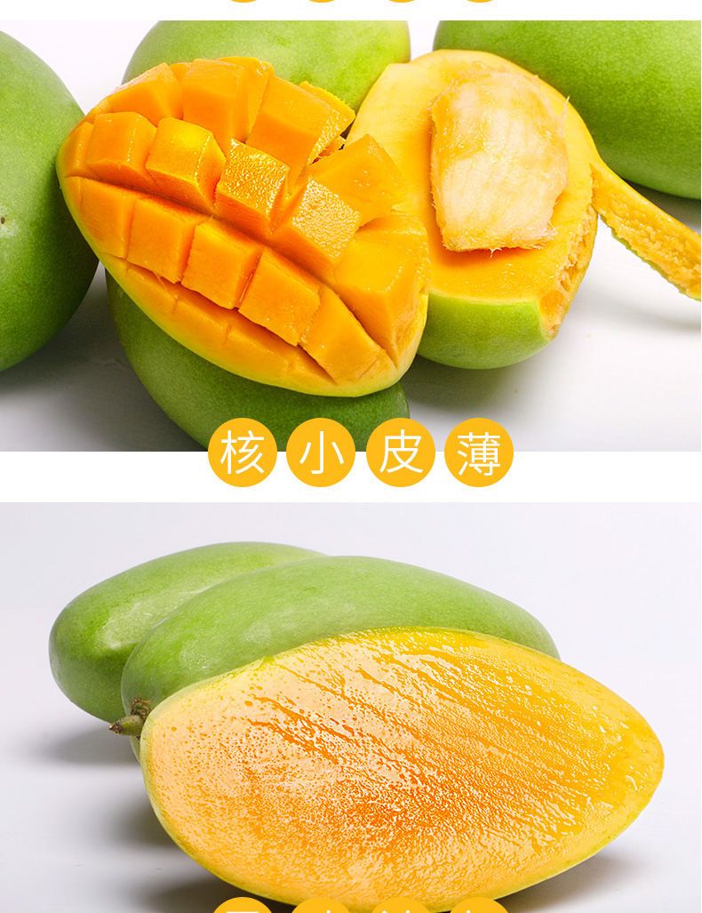 da1a6fe7-b846-4050-832d-93cd1b186830.jpg