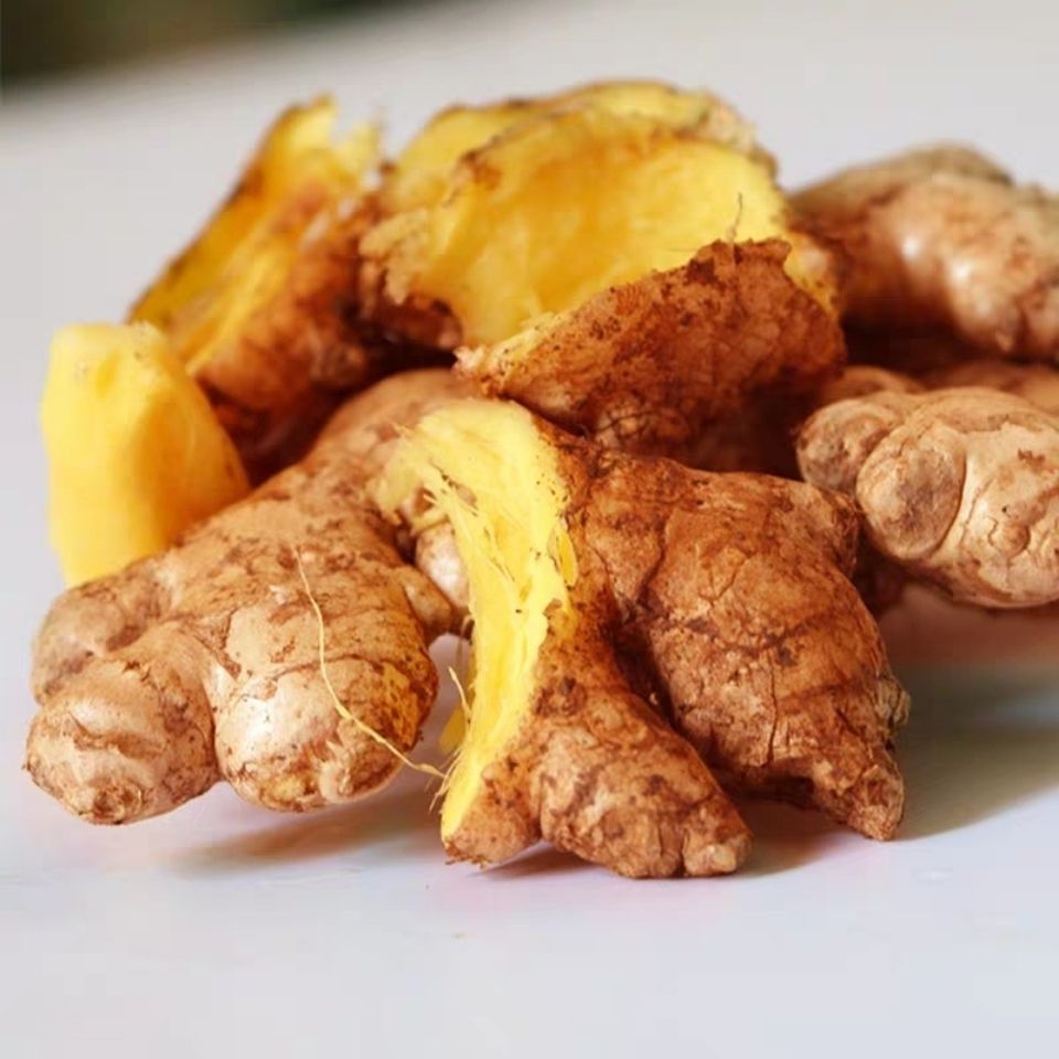 云南罗平小黄姜5斤 新鲜蔬菜现挖高山生姜月子姜老姜土姜批发包邮