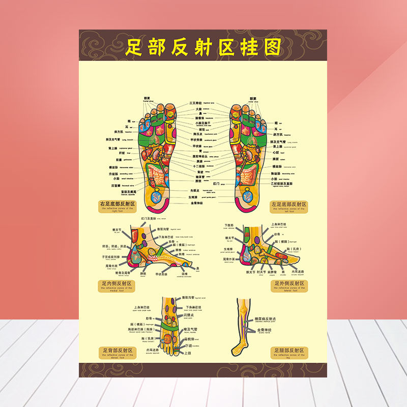 足部反射区大挂图足脚底按摩保健足疗足浴人体经络穴位图海报303