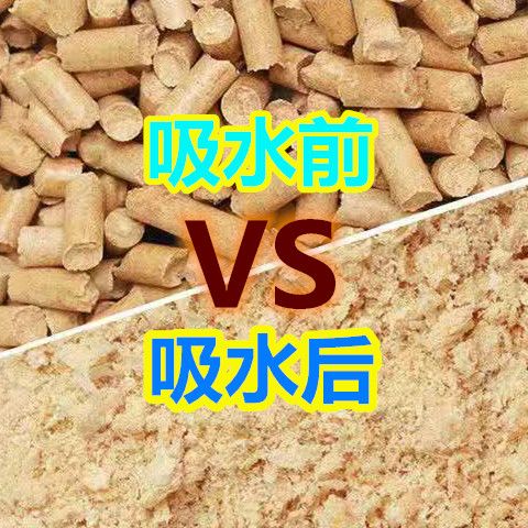 79cc768d-6baa-4198-b555-932984a522f7.jpg
