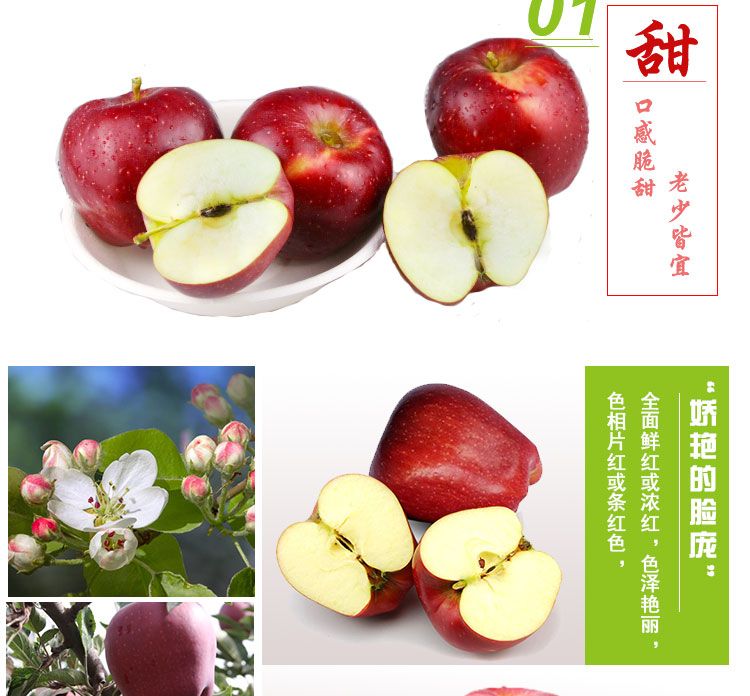088b33c7-979a-4d39-b96f-76693f4c6a7d.jpg