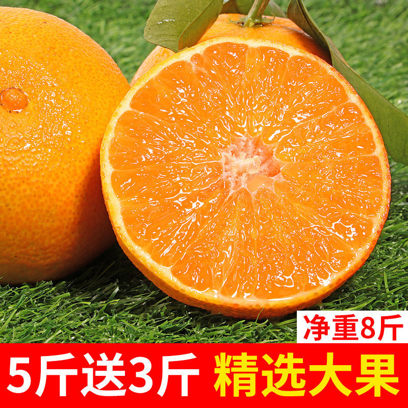 88797-四川爱媛38号果冻橙8斤当季新鲜水果手剥橙子柑橘桔子5斤-2斤批发-详情图