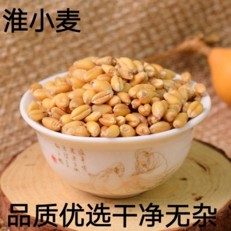 淮小麦1000克怀小麦饱满颗粒可熬汤500克无添加小麦种子榨麦苗汁【3月