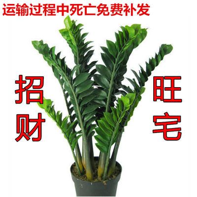 1dfe6a6be88e744d49901df083a925d9.jpeg
