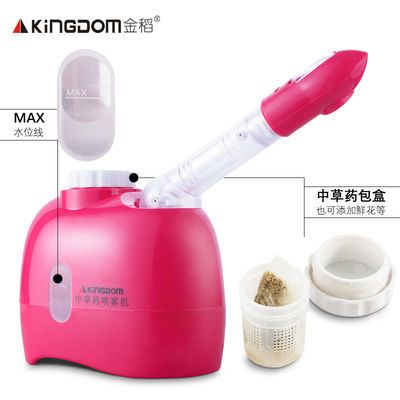金稻冷熱噴蒸臉器