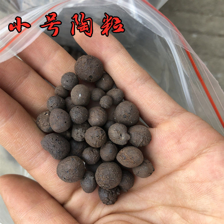 陶粒球包邮花卉盆栽防烂根多肉种植花盆垫底无土栽培养花空心陶粒 6月15日发完 虎窝拼