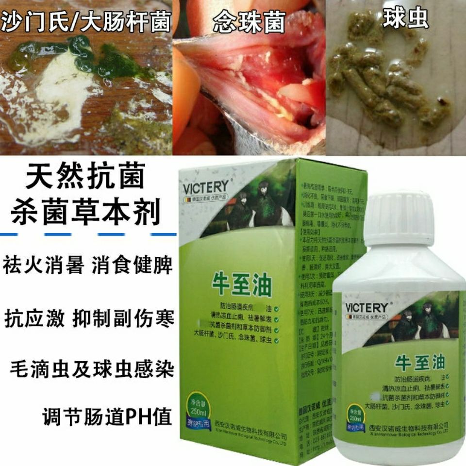 牛至油汉诺威鸽药250ml肠道拌料油调理大肠杆菌沙门氏念珠菌抗菌