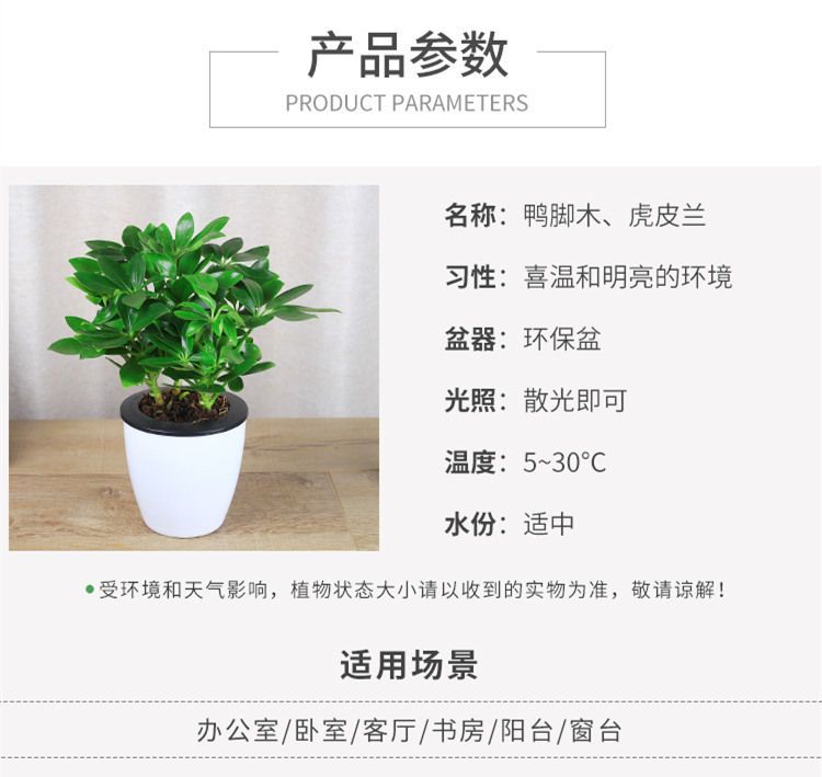 a5fe28ad-9d70-45e4-869f-afa5b6f61c49.jpg